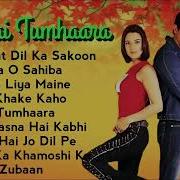 Dil Hai Tumhaara Mp3