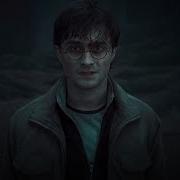 Harry Potter The Boy Who Lived Has Come To Die