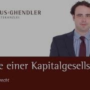 Die Organe Einer Ug Oder Gmbh