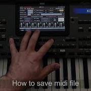 Stayl Korg 4X Pc