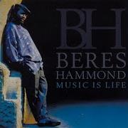 They Gonna Talk Berres Hammond