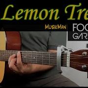 Lemon Tree Guitar Lesson