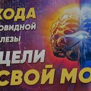 Исцели Свой Мозг