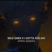 Wild Ones I Gotta Feeling