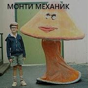 Монти Механик Друг