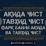 Абу Мухаммад Мадани Тавхид