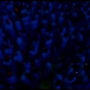 Sensation 2007 Megamix