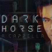 Dark Horse Katy Perry Sam Tsui Peter Hollens A Cappella Cover Sam Tsui