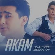 Shahzod Murodov Akam