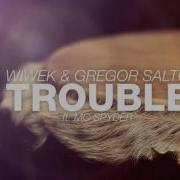 Wiwek Gregor Salto Ft Mc Spyder Trouble Orginal Mix