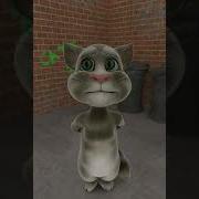 Talking Tom Trynna Speak