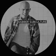 Spin Gabber Subculture