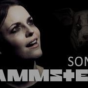 Rammstein Sonne Кавер