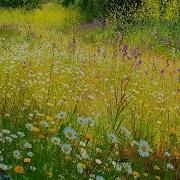 Morning Flowers Alm