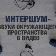 Интер Шум