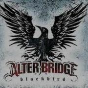 Alter Bridge Blackbird