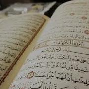 Beautiful Quran Recitation 10 Hours No Ads