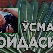 Усма Фойдаси