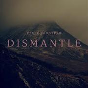 Peter Sanberg Dismantle