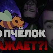 Стрей Кто Пчелок Уважает