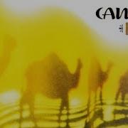 Camel Rajaz