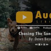 Chasing The Song Feat Dawn Beyers By Jonny Houlihan