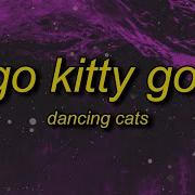 Go Kitty Go Speed Up