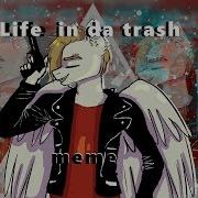 Life In Da Trash Meme