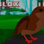 Симулятор Птицы В Роблокс Bird Simulator Roblox Симулятор На Русском