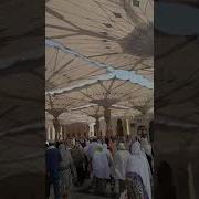 Soliha Qizim Umra Ziyorati