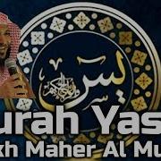 Sheikh Mahee Ysin