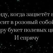 Я Соберу Букет Полевых Цветов