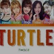 Turtle Twice Lyrics