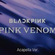 Blackpink Pink Venom Acapella Studio