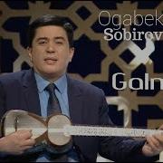 Ogabek Sobirov Galmadi