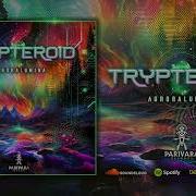 Trypteroid Digital Euphoria Parivara Records