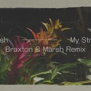 Marsh Feat Leo Wood My Stripes Abgt425 Braxton Marsh Mix