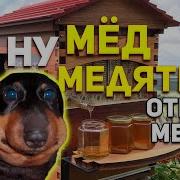 Ну Мёд Ну Медина