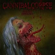 Bound And Burned Cannibal Corpse