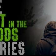 5 Terrifying Lost In The Woods Stories