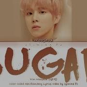 김우석 Sugar가사