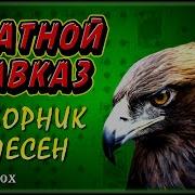 Блатной Кавказ Сборник Песен Kavkaz Box