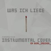 Rammstein Was Ich Liebe Instrumental Cover Live Version