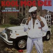 Kool Moe Dee Rock You