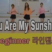 You Are My Sunshine Live Dance Beginner Level