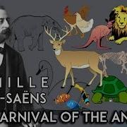 Saint Saint Carnival Of The Animals