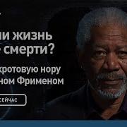 Жизнь После Смерти