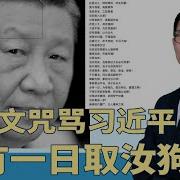 文咒骂习近平 取汝狗头