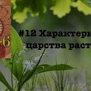 Пасечник Параграф 12 Биология 5 Класс