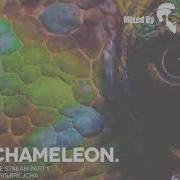 Boris Brejcha Chameleon Unreleased Melodic Techno